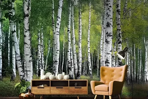 Mežs un Dabas Ainavas